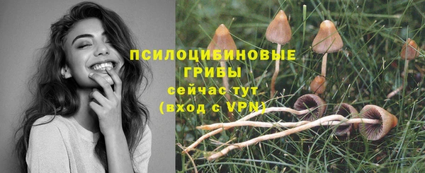тгк Алексин
